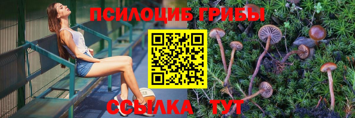 Хабаровск  Галлюциногенные грибы мухоморы  Вход с VPN 